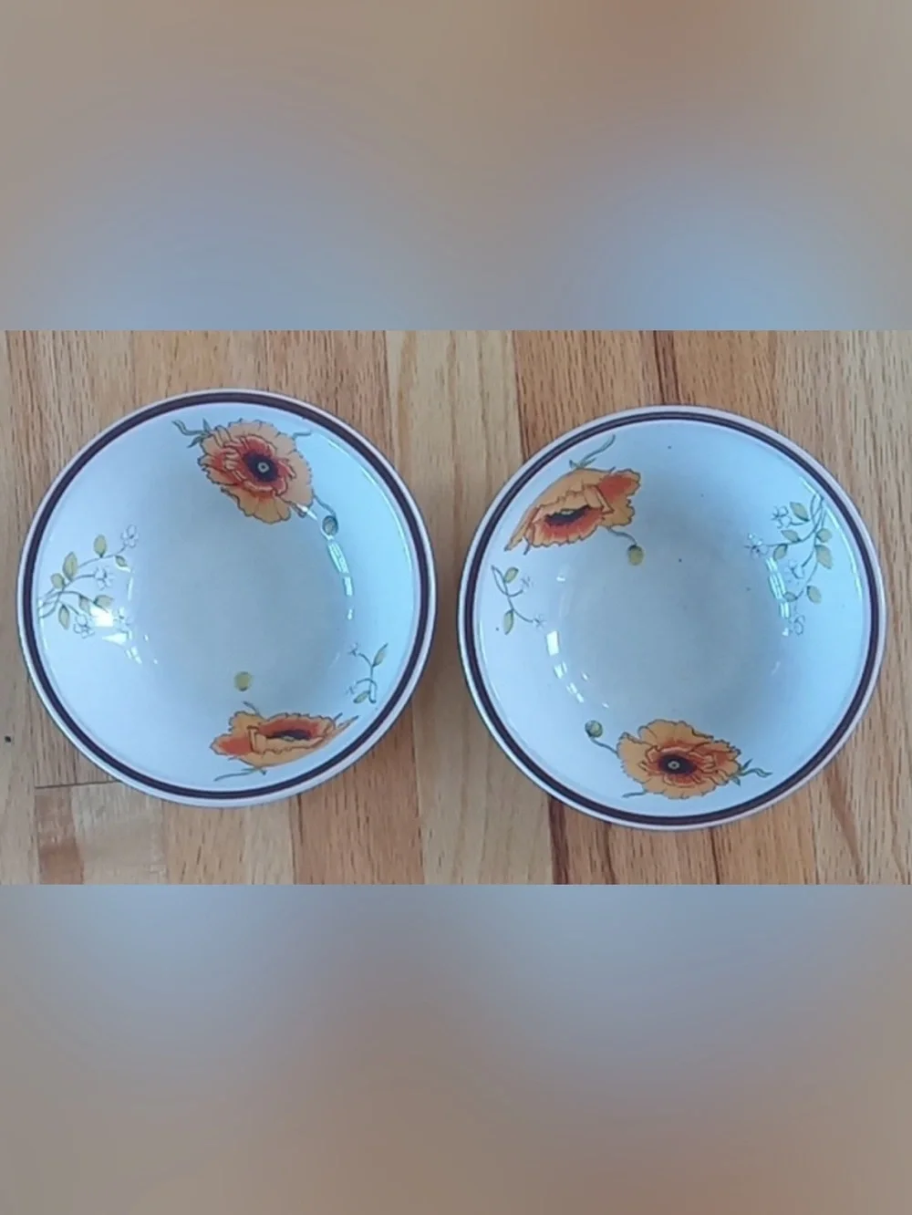 Set of  two Ranmaru “Tropicana” stoneware bowls